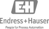 Endress+Hauser